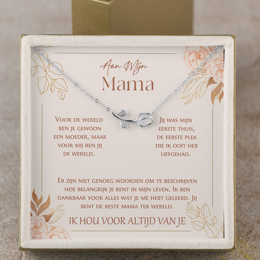 Aan Mijn Mama - 925 Zilveren Ketting met Betekenisvolle Boodschap
